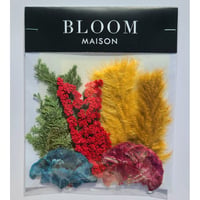 押し花｜花材セット ケイトウ Pressed Flower Kit インテリア・ギフト・ウェルカムボードなどのハンドメイドに　F-810 BLOOM MAISON