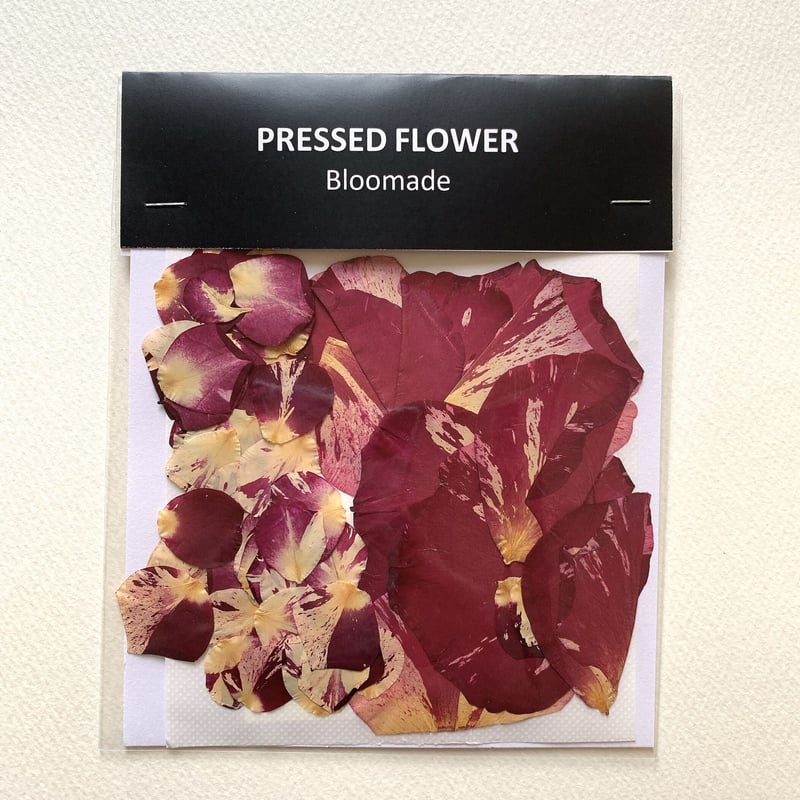 F-49 押し花|バラ花びら(赤・クリーム) 送料込み | BLOOM MAISON F-49 押し花|バラ花びら(赤・クリーム) 送料込み | BLOOM MAISON
