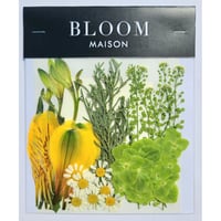押し花｜花材セット アルストロメリア Pressed Flower Kit インテリア・ギフト・ウェルカムボードなどのハンドメイドに　F-1032 BLOOM MAISON