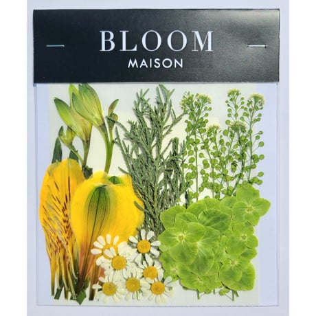 押し花｜花材セット アルストロメリア Pressed Flower Kit インテリア・ギフト・ウェルカムボードなどのハンドメイドに　F-1032 BLOOM MAISON