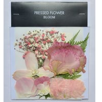 【押し花｜花材セット トルコキキョウ Pressed Flower Kit ギフト・ウエルカムボードなどのハンドメイドに】F-336 BLOOM MAISON