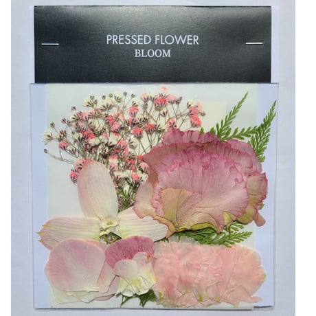 【押し花｜花材セット トルコキキョウ Pressed Flower Kit ギフト・ウエルカムボードなどのハンドメイドに】F-336 BLOOM MAISON