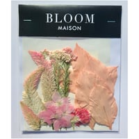 押し花｜花材セット セロシア Pressed Flower Kit インテリア・ギフト・ウェルカムボードなどのハンドメイドに　F-904 BLOOM MAISON
