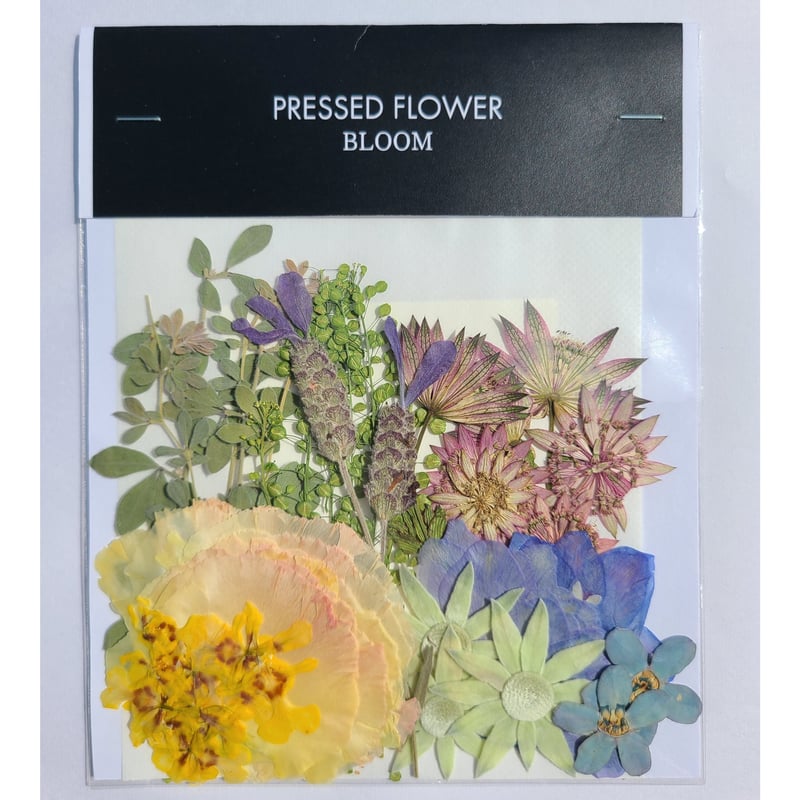 ■floowオーダーページ■　ハンドメイド 押し花｜花材セット ラベンダー Pressed Flower Kit ギフト