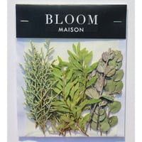 押し花｜花材セット ユーカリ Pressed Flower Kit インテリア・ギフト・ウェルカムボードなどのハンドメイドに　F-726 BLOOM MAISON