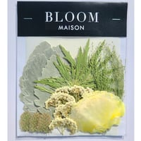 押し花｜花材セット エリンジューム Pressed Flower Kit インテリア・ギフト・ウェルカムボードなどのハンドメイドに　F-924 BLOOM MAISON