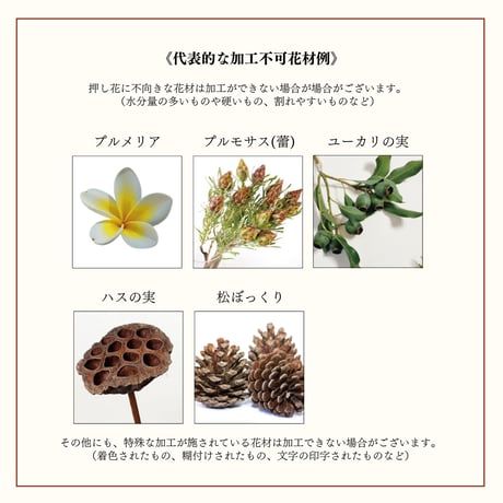 記念の花束を残す：Monsieur/ムッシュ（シルクハット）ブルー※オーダーメイド 33-RE-B