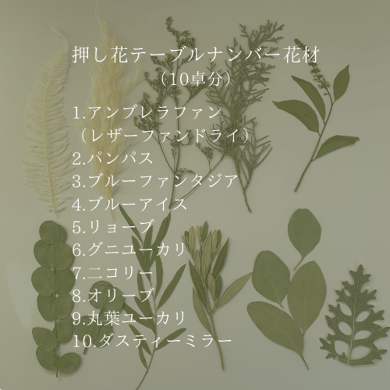 押し花テーブルナンバー花材（15卓分） | BLOOM MAISON