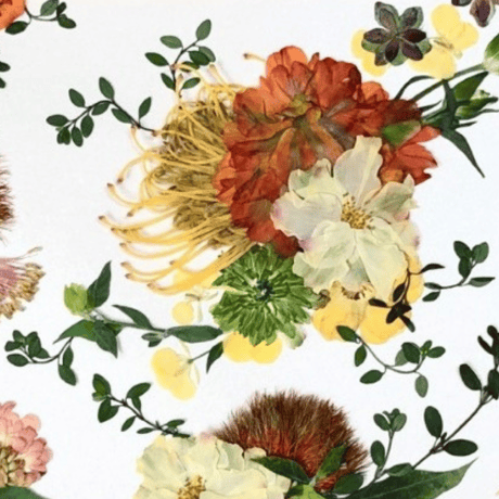 押し花ギフト【REGALOコレクション】優しくきらめく｜ラナンキュラスの押し花アート｜BLOOMART【起業・入退社祝い】　W440mm×H350mm