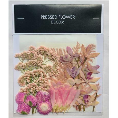 【押し花｜花材セット ライスフラワー Pressed Flower Kit ギフト・ウェルカムボードなどのハンドメイドに】F-541 BLOOM MAISON
