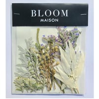 押し花｜花材セット バーゼリア Pressed Flower Kit インテリア・ギフト・ウェルカムボードなどのハンドメイドに　F-836 BLOOM MAISON