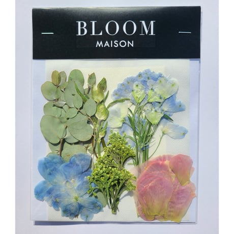 押し花｜花材セット ラナンキュラス Pressed Flower Kit インテリア・ギフト・ウェルカムボードなどのハンドメイドに　F-898 BLOOM MAISON