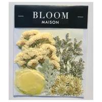押し花｜花材セット HBスターチス Pressed Flower Kit インテリア・ギフト・ウェルカムボードなどのハンドメイドに　F-1069 BLOOM MAISON