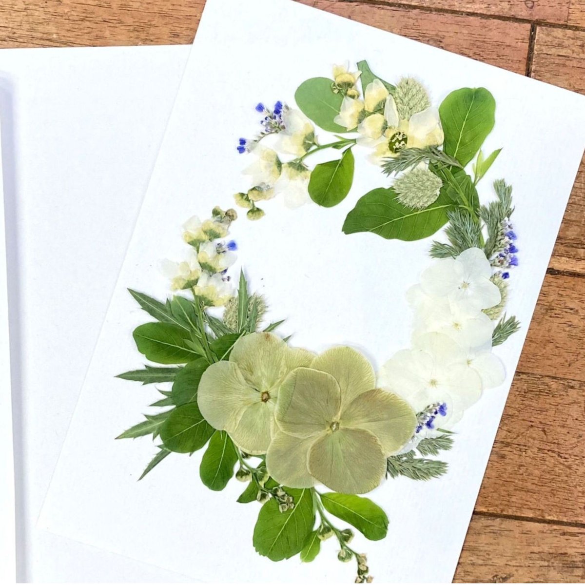 押し花セット 23-09-03 | BLOOM MAISON 押し花セット 23-09-03 | BLOOM MAISON