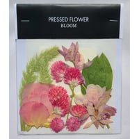 【押し花｜花材セット エンシクリア Pressed Flower Kit ギフト・ウェルカムボードなどのハンドメイドに】F-527 BLOOM MAISON