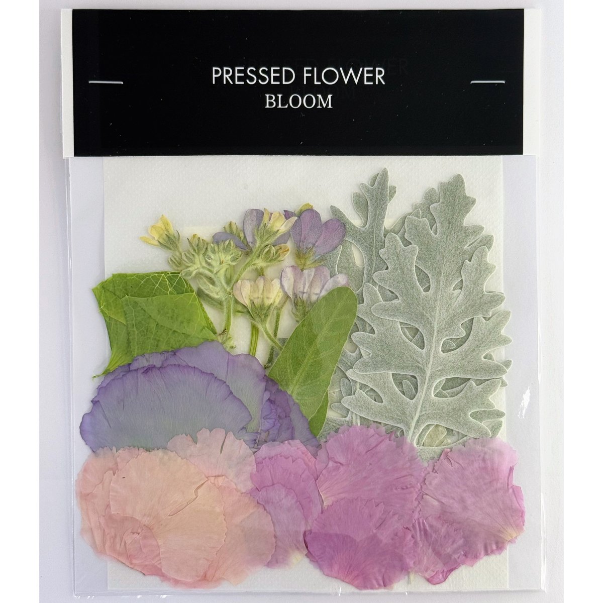 押し花｜花材セット カーネーション Pressed Flower Kit ギフト