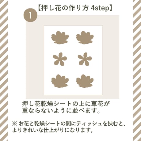 【押し花初心者キット・植物標本カード】　初めての方におすすめ・庭の小花で作る押し花キット・押し花材料