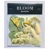 押し花｜花材セット シルバーキャット Pressed Flower Kit インテリア・ギフト・ウェルカムボードなどのハンドメイドに　F-1050 BLOOM MAISON