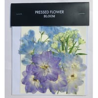 ②花材セット 押し花｜花材セット SPストック Pressed Flower Kit ギフト