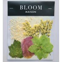 押し花｜花材セット クリスマスローズ Pressed Flower Kit インテリア・ギフト・ウェルカムボードなどのハンドメイドに　F-888 BLOOM MAISON