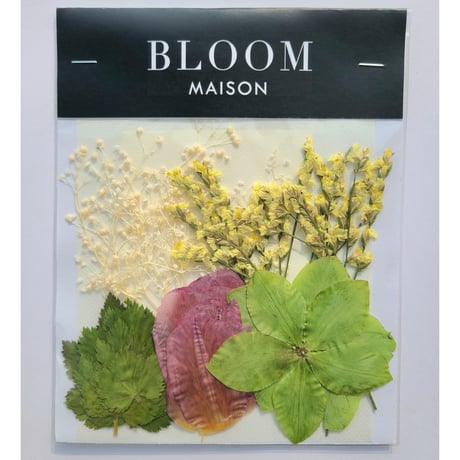 押し花｜花材セット クリスマスローズ Pressed Flower Kit インテリア・ギフト・ウェルカムボードなどのハンドメイドに　F-888 BLOOM MAISON