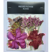 【押し花｜花材セット モカラ Pressed Flower Kit ギフト・ウェルカムボードなどのハンドメイドに】F-565 BLOOM MAISON