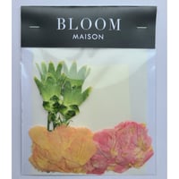押し花｜花材セット カーネーション Pressed Flower Kit インテリア・ギフト・ウェルカムボードなどのハンドメイドに　F-967 BLOOM MAISON