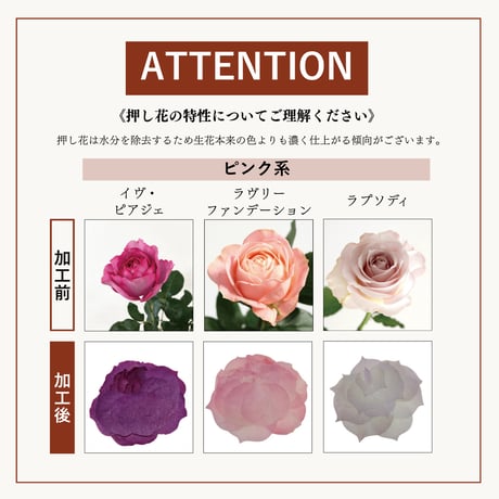 【オンラインストア限定商品】プロポーズ花束（押し花アート）：ノアール