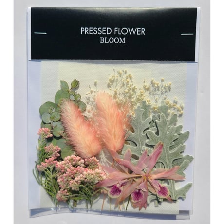 【押し花｜花材セット エンシクリア Pressed Flower Kit インテリア・ギフト・ウェルカムボードなどのハンドメイドに】F-690 BLOOM MAISON