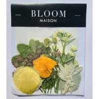 押し花｜花材セット ラムズイヤー Pressed Flower Kit インテリア・ギフト・ウェルカムボードなどのハンドメイドに　F-901 BLOOM MAISON