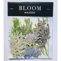 押し花｜花材セット ブルースター Pressed Flower Kit インテリア・ギフト・ウェルカムボードなどのハンドメイドに　F-903 BLOOM MAISON
