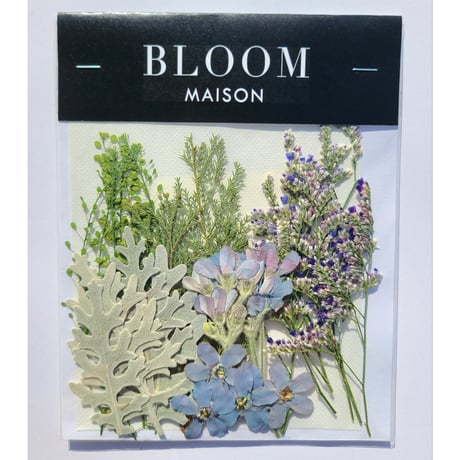 押し花｜花材セット ブルースター Pressed Flower Kit インテリア・ギフト・ウェルカムボードなどのハンドメイドに　F-903 BLOOM MAISON