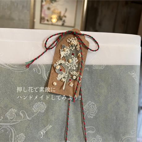 【押し花｜花材セット プリザーブドフラワーカスミソウ Pressed Flower Kit ギフト・ウェルカムボードなどのハンドメイドに】F-670 BLOOM MAISON