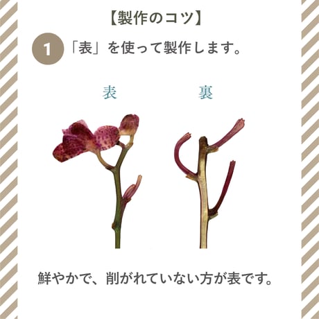 【押し花初心者デザインキット】　初めてでも簡単・可愛く作れる インテリア ギフトにも最適・ハンドメイド押し花額セット
