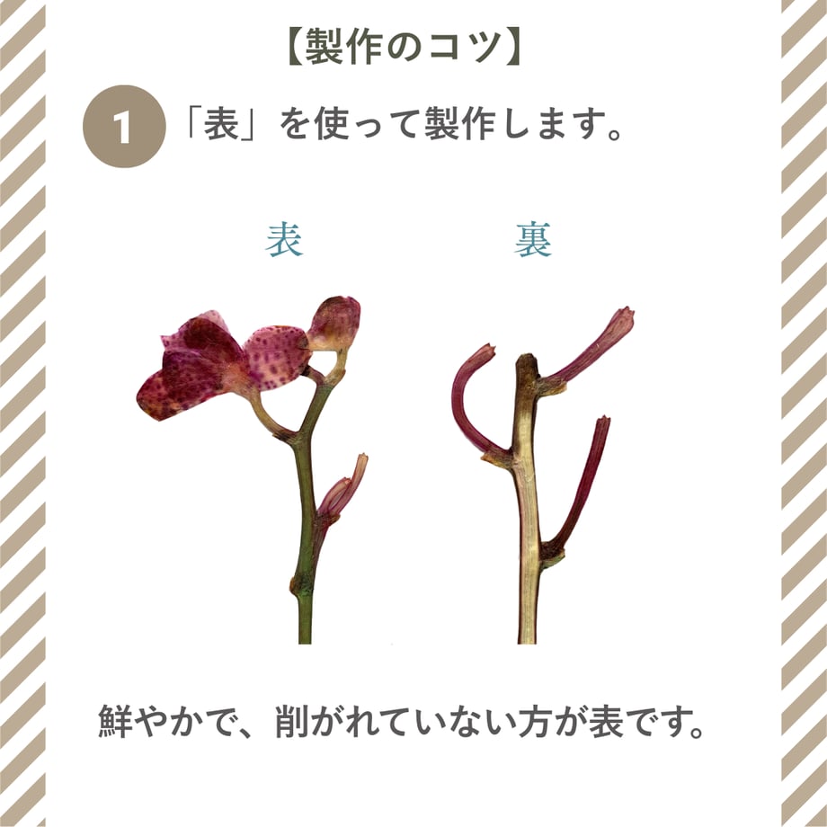 69153b5c6cfe5332aa95c4d9