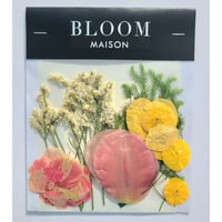 押し花｜花材セット ヒカゲノカズラ Pressed Flower Kit インテリア・ギフト・ウェルカムボードなどのハンドメイドに　F-865 BLOOM MAISON
