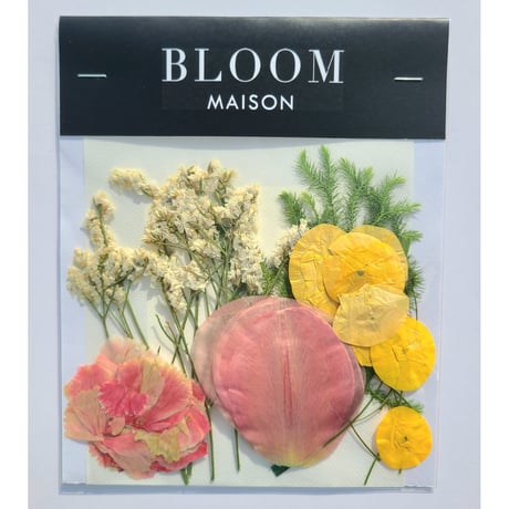 押し花｜花材セット ヒカゲノカズラ Pressed Flower Kit インテリア・ギフト・ウェルカムボードなどのハンドメイドに　F-865 BLOOM MAISON