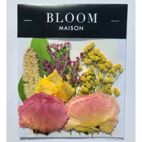 押し花｜花材セット ソリダスター Pressed Flower Kit インテリア・ギフト・ウェルカムボードなどのハンドメイドに　F-920 BLOOM MAISON