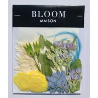 押し花｜花材セット フェザーグラス Pressed Flower Kit インテリア・ギフト・ウェルカムボードなどのハンドメイドに　F-953 BLOOM MAISON
