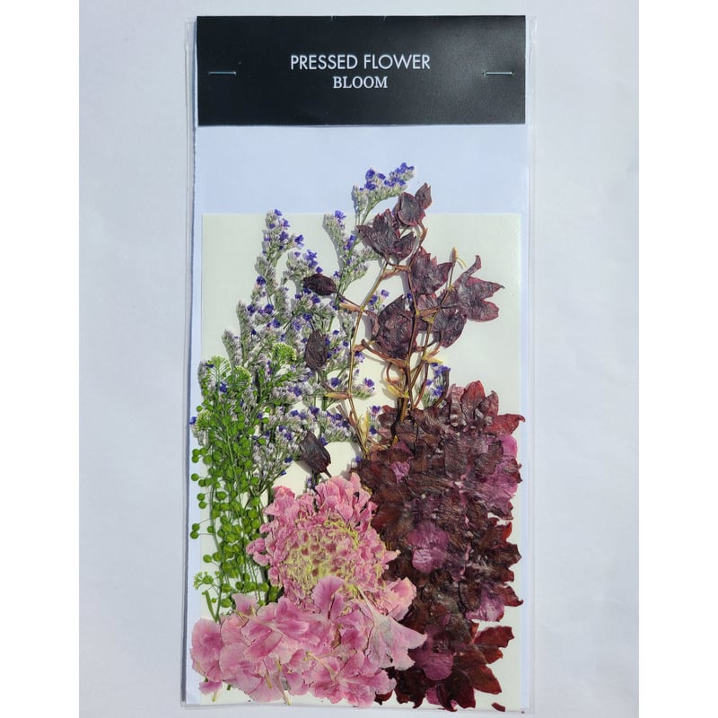 flowerページ 71U+-K+dDXL._AC_UL210_SR210,