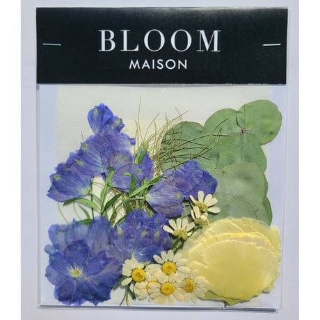 押し花｜花材セット マトリカリア Pressed Flower Kit インテリア・ギフト・ウェルカムボードなどのハンドメイドに　F-975 BLOOM MAISON