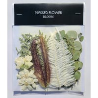 押し花｜花材セット レッドフォックス Pressed Flower Kit インテリア・ギフト・ウェルカムボードなどのハンドメイドに　F-718 BLOOM MAISON