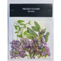 F-81 押し花|デルフィニウム(水色) 正面 | BLOOM MAISON F-81 押し花|デルフィニウム(水色) 正面 | BLOOM MAISON