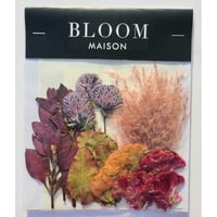 押し花｜花材セット 千日紅 Pressed Flower Kit インテリア・ギフト・ウェルカムボードなどのハンドメイドに　F-723 BLOOM MAISON