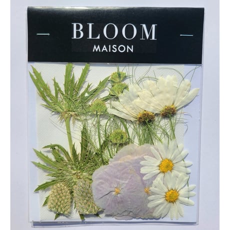 押し花｜花材セット マーガレット Pressed Flower Kit インテリア・ギフト・ウェルカムボードなどのハンドメイドに　F-883 BLOOM MAISON
