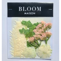 押し花｜花材セット ブプレリューム Pressed Flower Kit インテリア・ギフト・ウェルカムボードなどのハンドメイドに　F-991 BLOOM MAISON