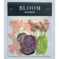 押し花｜花材セット 初雪草 Pressed Flower Kit インテリア・ギフト・ウェルカムボードなどのハンドメイドに　F-857 BLOOM MAISON