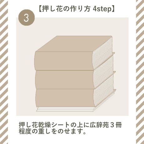 【押し花初心者キット・植物標本カード】　初めての方におすすめ・庭の小花で作る押し花キット・押し花材料