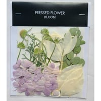 【押し花｜花材セット あじさい Pressed Flower Kit ギフト・ウェルカムボードなどのハンドメイドに】F-540 BLOOM MAISON