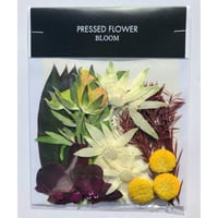 【押し花｜花材セット デンファレ Pressed Flower Kit ギフト・ウェルカムボードなどのハンドメイドに】F-688 BLOOM MAISON
